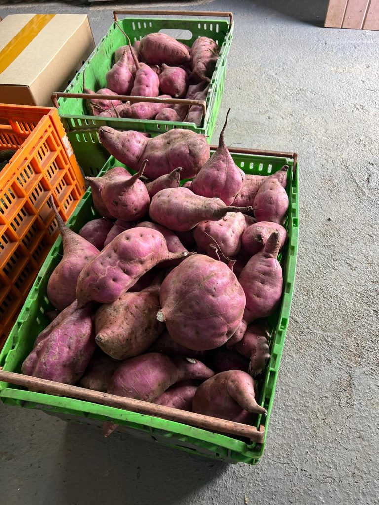 kumala