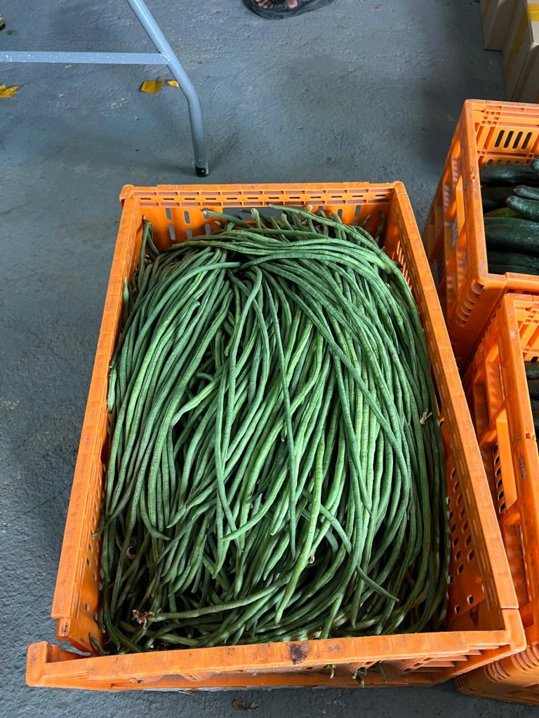 long beans